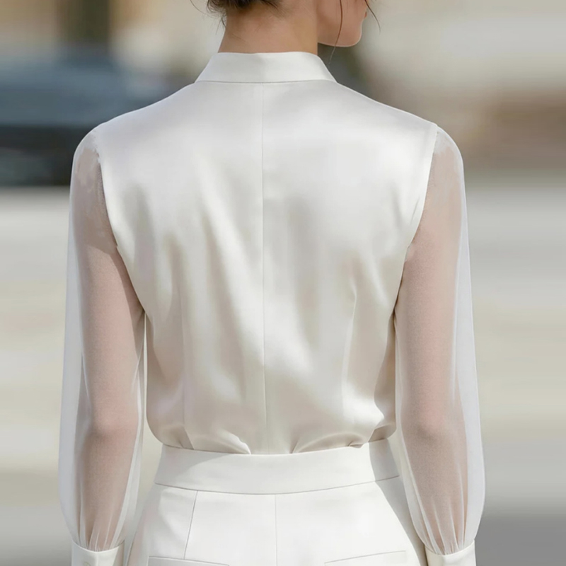 Nuevas camisas de malla transp - Silk Blouse reseña y precio